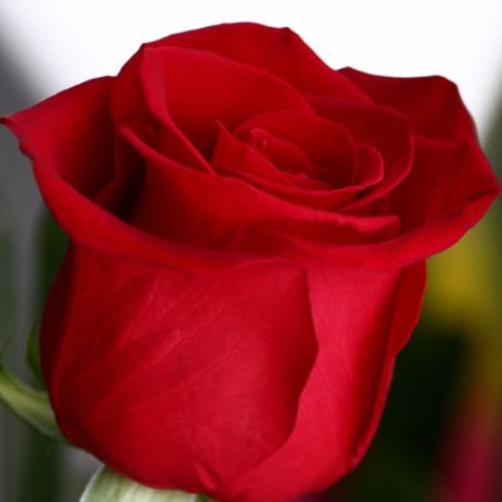 PENDING ACCEPTANCE🍓🍓🍓